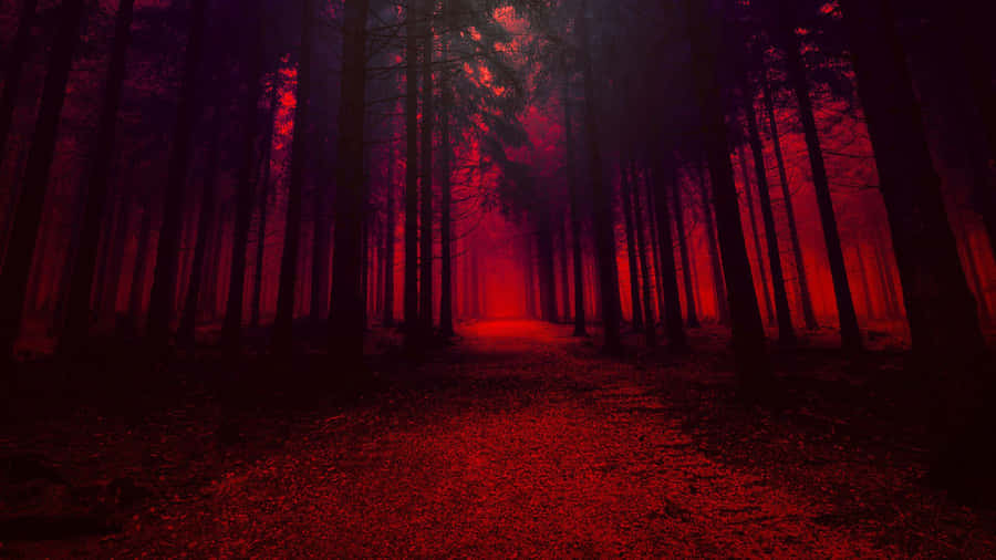 Red Trees Dark Forest Wallpaper