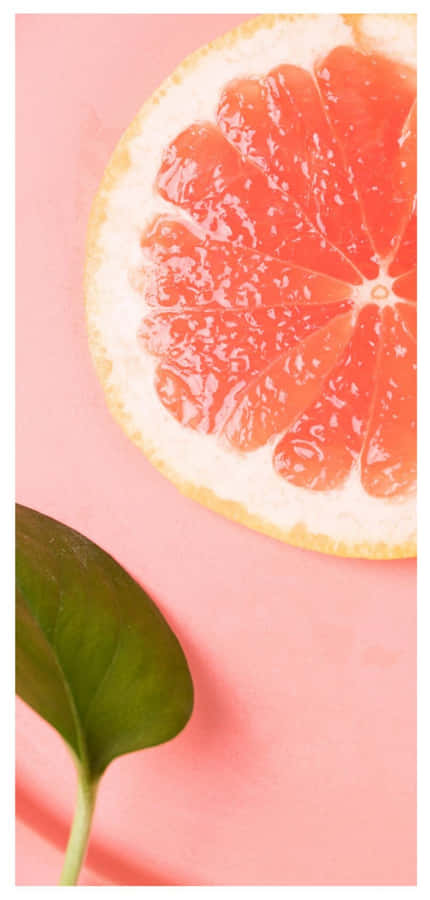 Refreshing Pink Grapefruit Slices Wallpaper