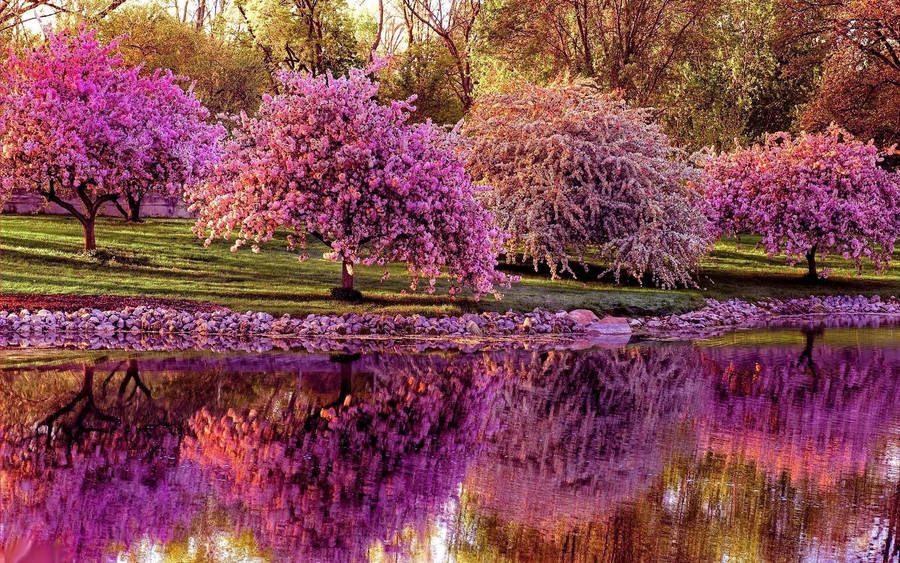 Relax And Appreciate The Beauty Of Spring Wallpaper