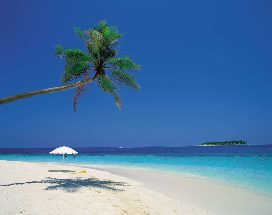 Relaxation Time At Cute Summer Beach Wallpaper