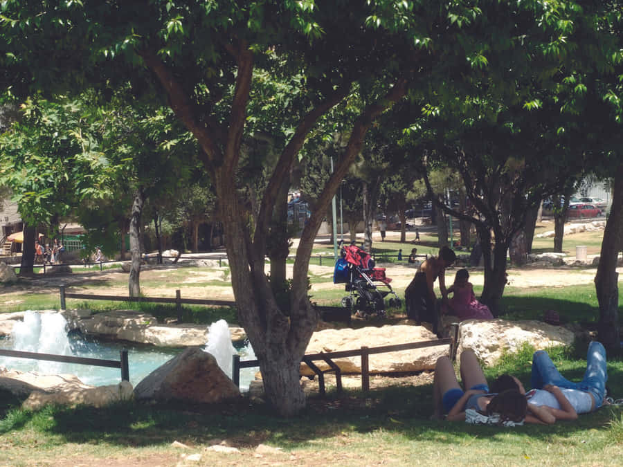 Relaxing Dayat Independence Park Wallpaper