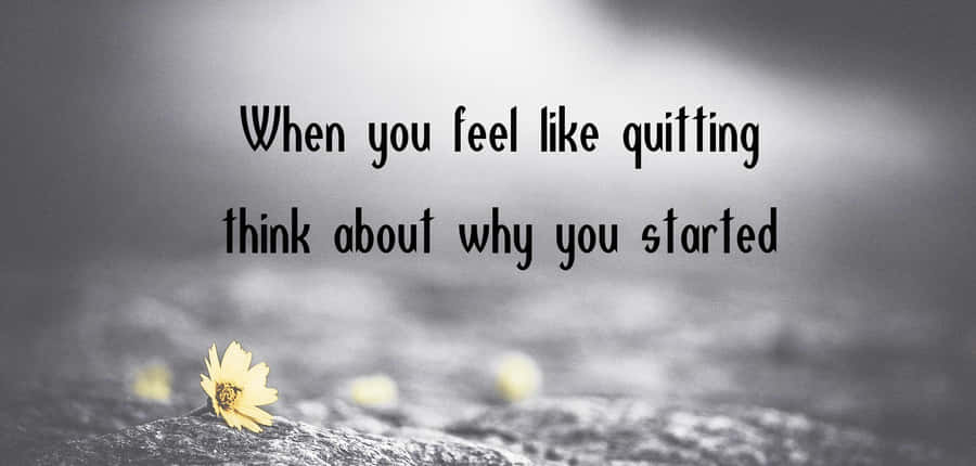 Remembering The Purpose Of Being Persistent Wallpaper