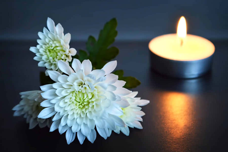 Remembrance Candleand White Flowers Wallpaper