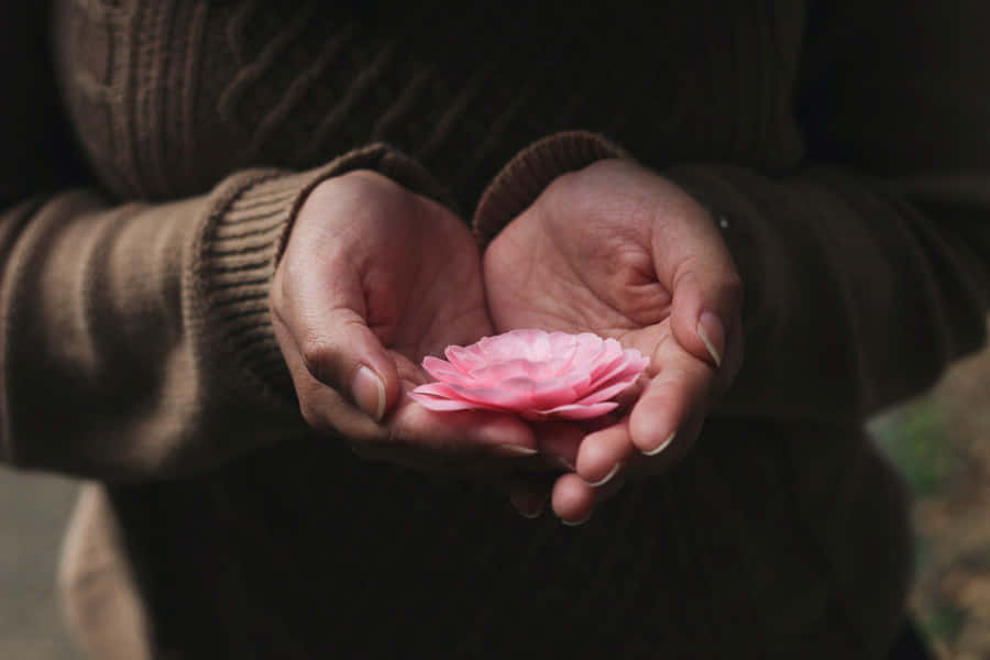 Remembrance Pink Flowerin Hands.jpg Wallpaper