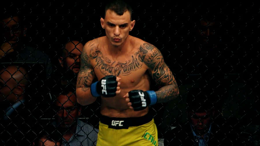 Renato Moicano Ready To Fight Wallpaper