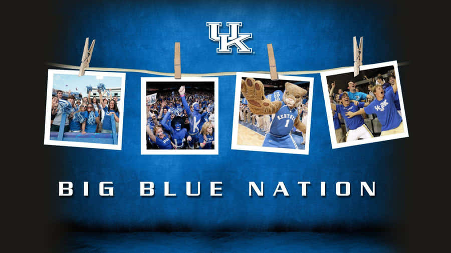 Representative Of Kentucky Basketball Fans United Wallpaper