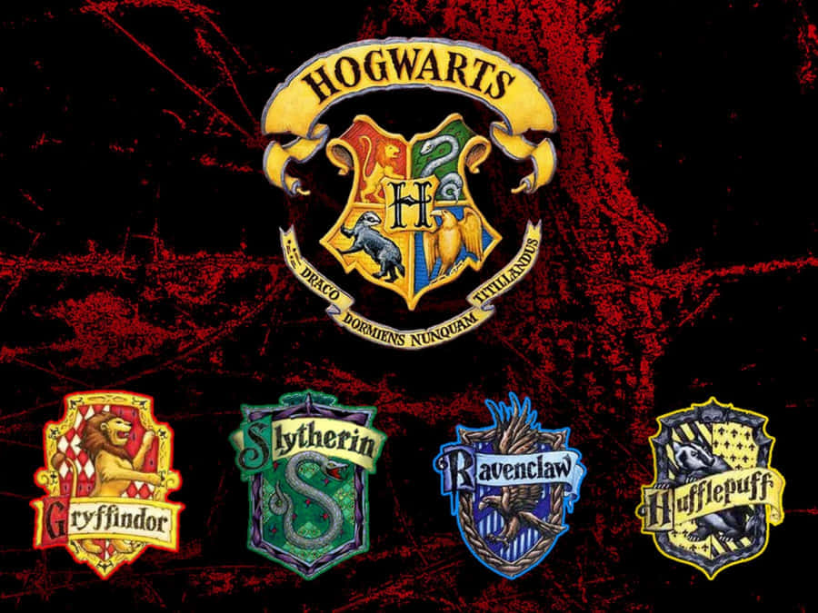 Representing Different Values: The Hogwarts Houses