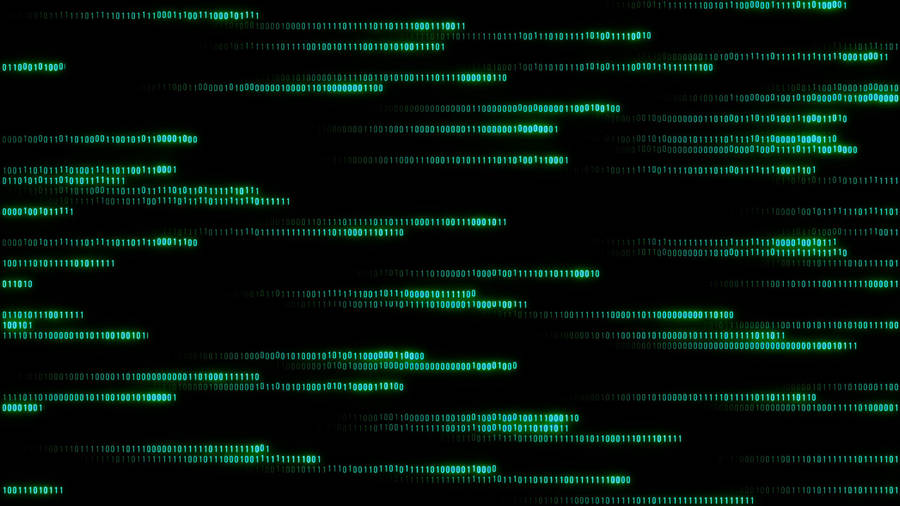 Revealing The Hidden Beauty Of The Matrix Wallpaper