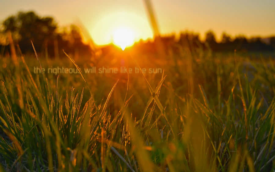 Righteous Sunset Field Wallpaper