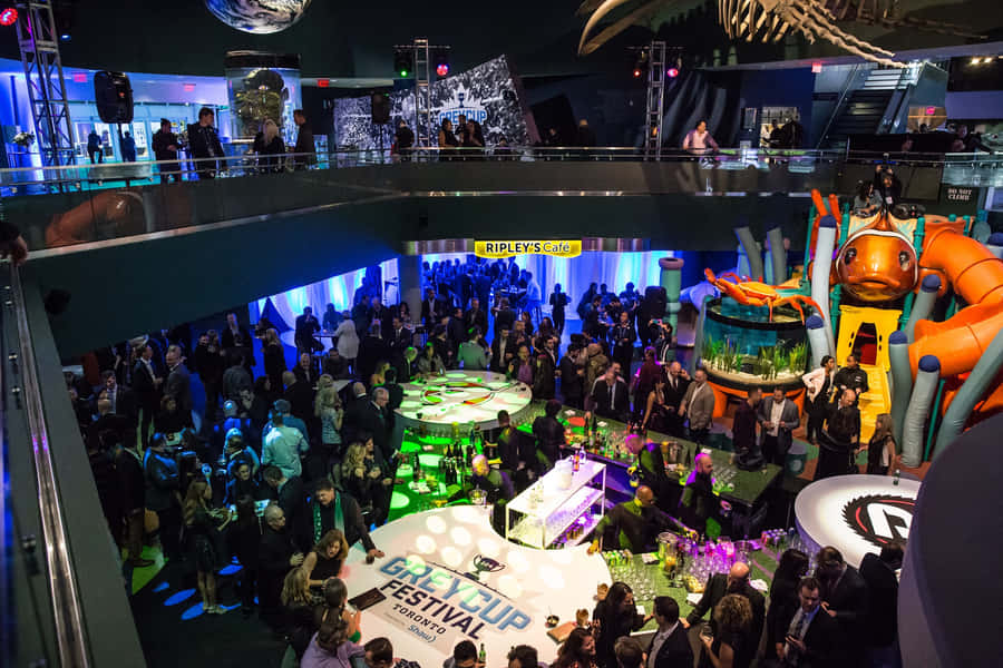 Ripleys Aquarium Event Night Wallpaper