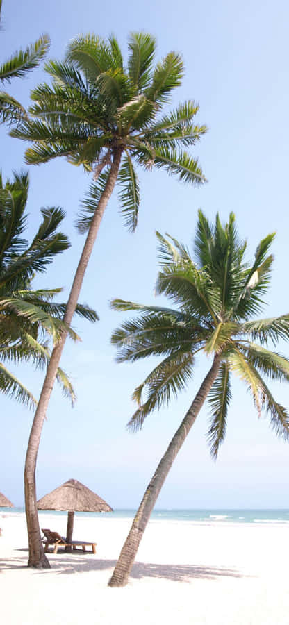 Riviera Parfum, A Luxurious Mediterranean Getaway. Wallpaper