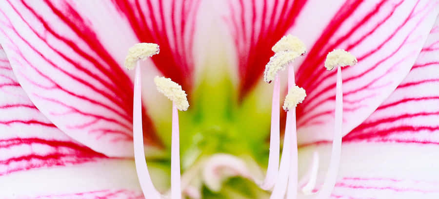 Road Leading To The City Lights Wallpaper