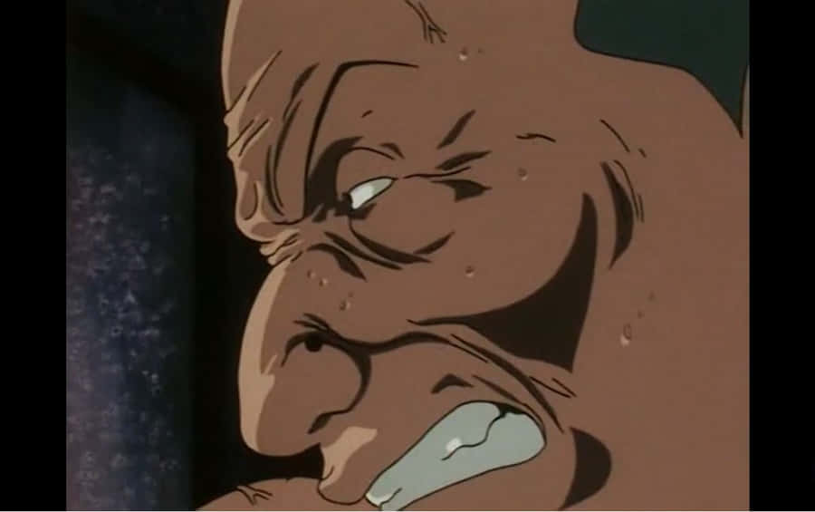 Robust Zebro From Hunter X Hunter Show Wallpaper