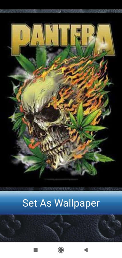 Rocking Out With Pantera Wallpaper