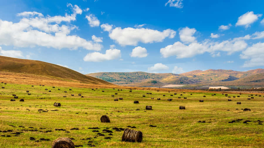 Rolling Farmland With Hay Bales Wallpaper
