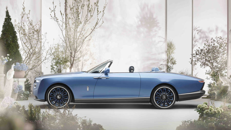 Rolls-royce 4k Dawn Side View Shrubs Wallpaper