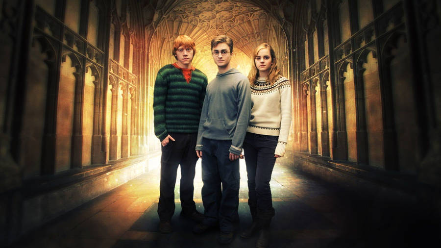 Ron Weasley With Harry Potter And Hermione Granger Wallpaper
