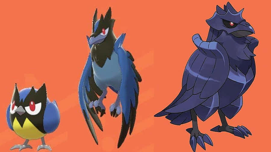 Rookidee Corvisquire And Corviknight Orange Hd Wallpaper