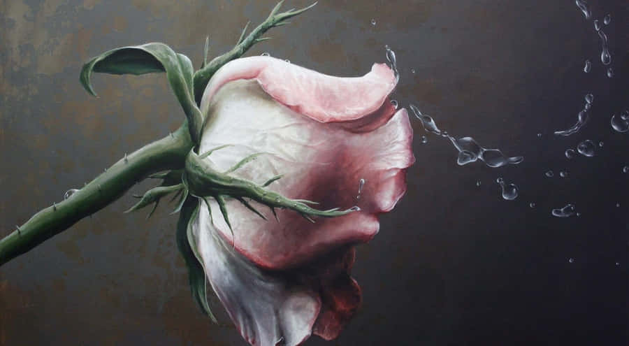 Rose Art 1920 X 1055 Wallpaper Wallpaper