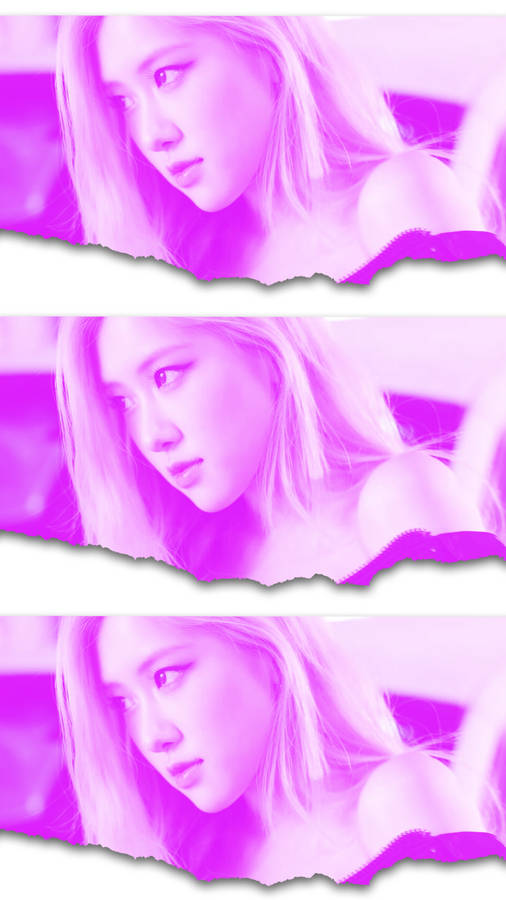 Rose Blackpink Pink Filter Collage Wallpaper