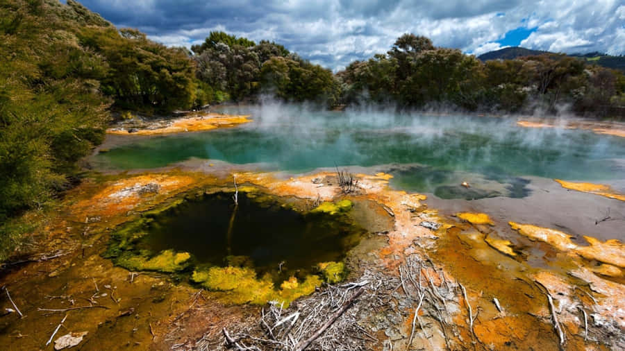 Rotorua Geothermal Wonderland Wallpaper