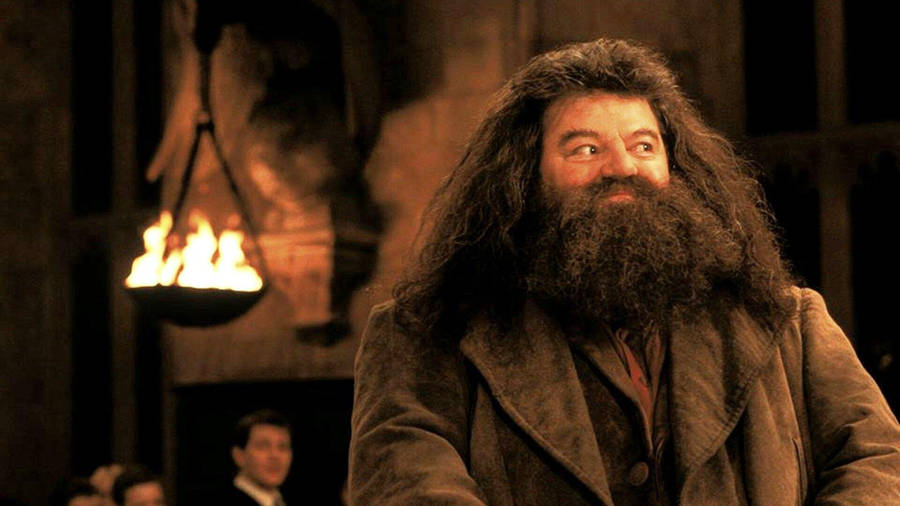 Rubeus Hagrid Smile Wallpaper