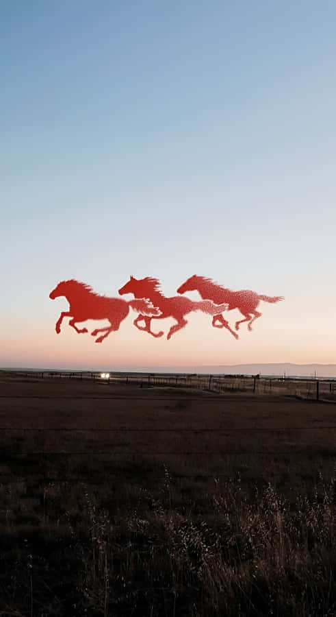Running Horses At Sunset Wallpaper