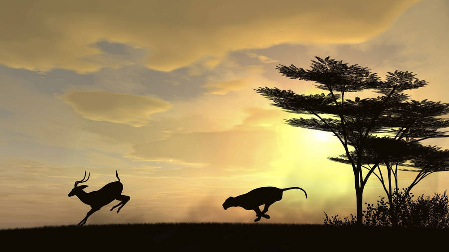 Running Leopard And Deer Animals During Sunset Wallpaper