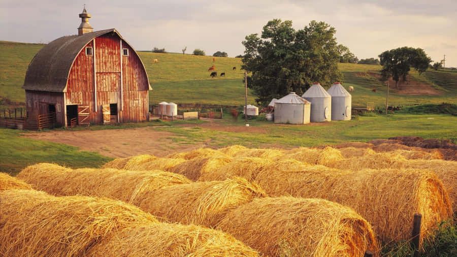 Rustic Barn And Hay Bales Wallpaper