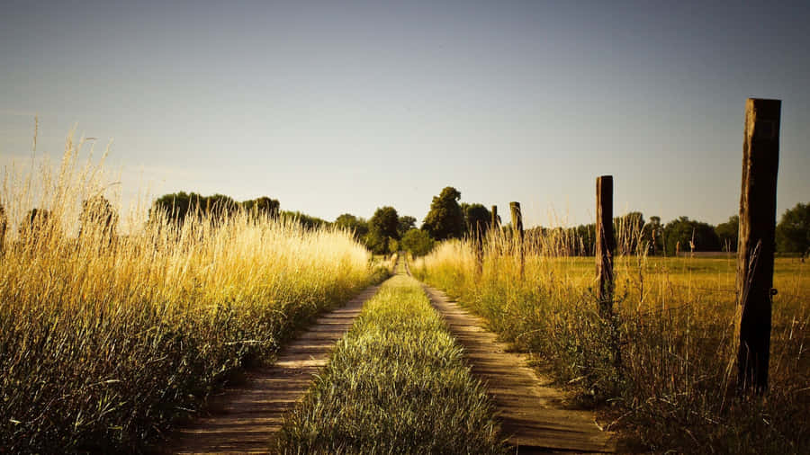 Rustic Country Road Wallpaper