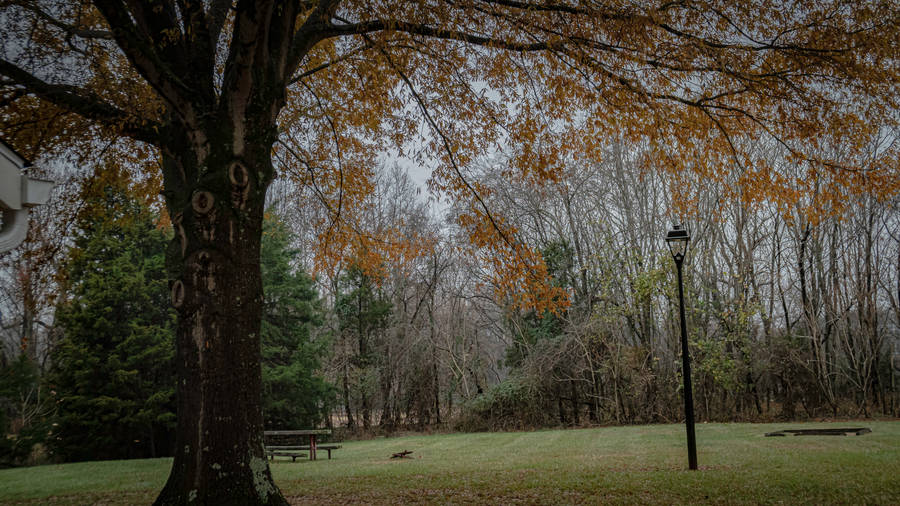 Rustic Fall Garden Scenery Wallpaper