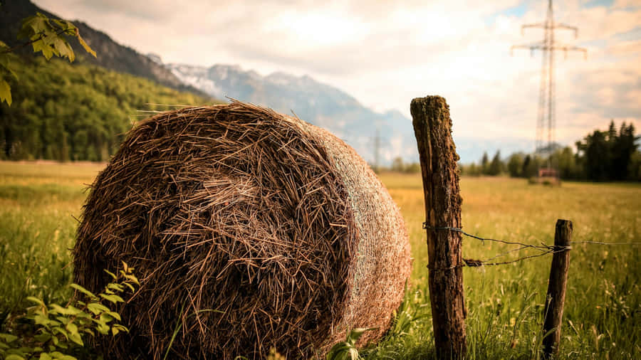 Rustic Hay Bale Country Wallpaper