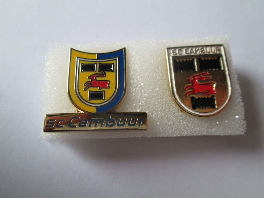 S C Cambuur Club Pins Wallpaper