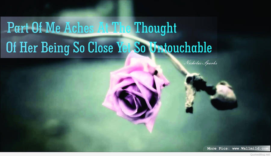 Sad Love Flower Quote Wallpaper
