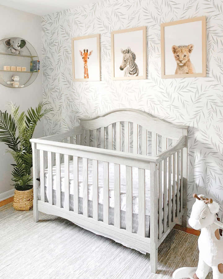 Safari Themed Nursery Room Wallpaper