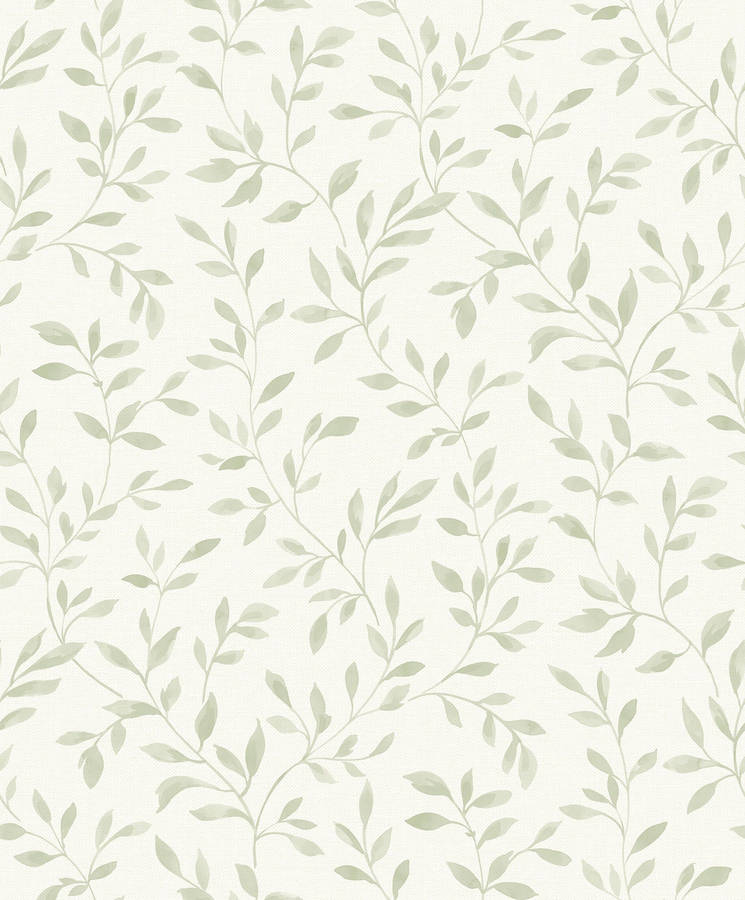 Sage Green Aesthetic Vines Wallpaper