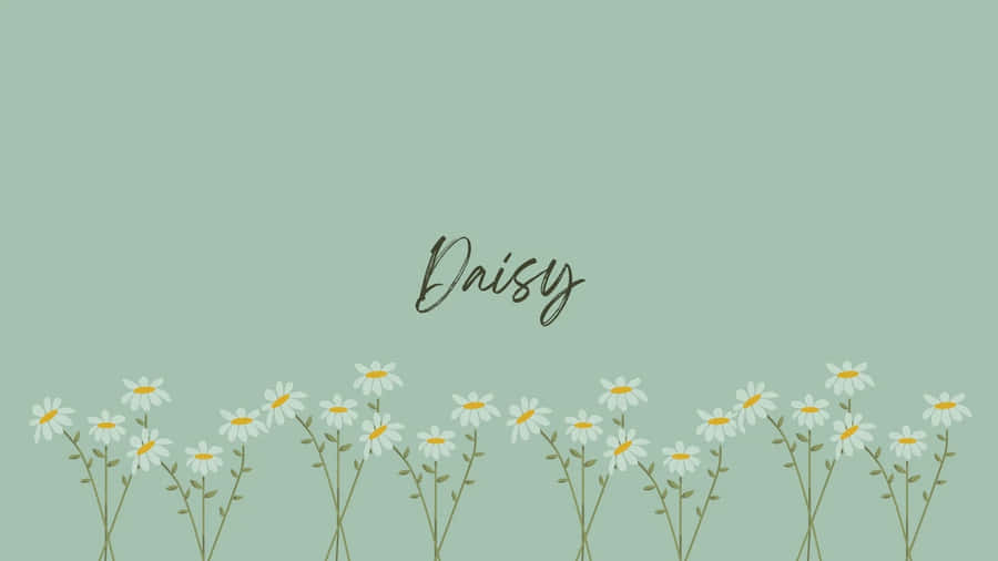 Sage Green Daisy Floral Aesthetic Wallpaper