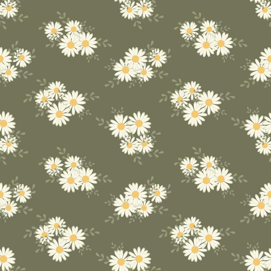 Sage Green Daisy Pattern Wallpaper