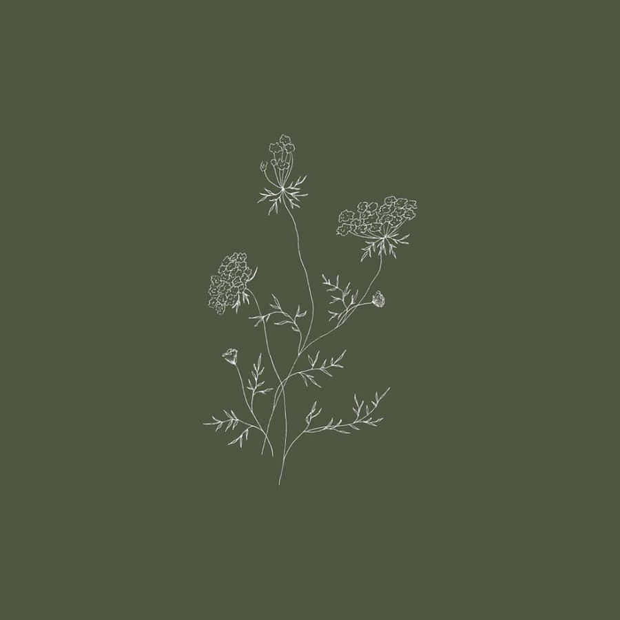 Sage Green Floral Sketch Art Wallpaper