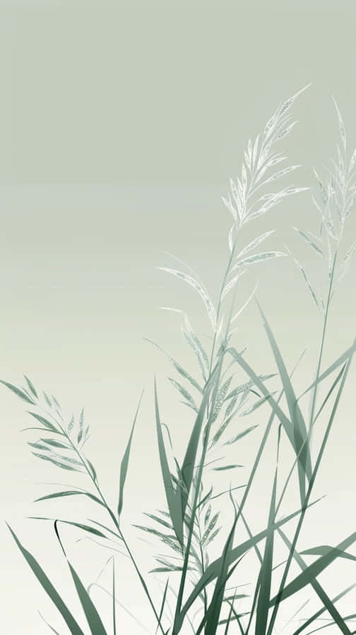 Sage Green Grass Background Wallpaper