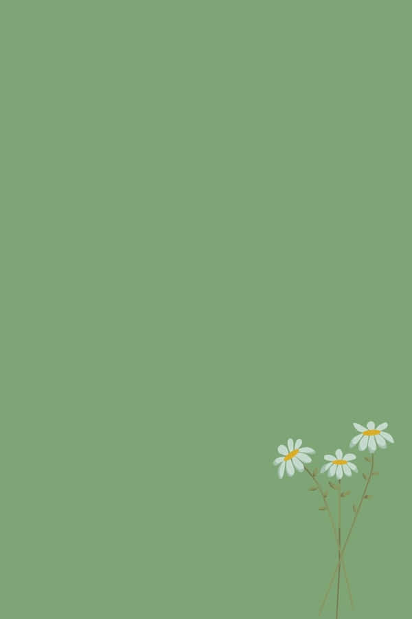 Sage Green Simple Daisy Design Wallpaper