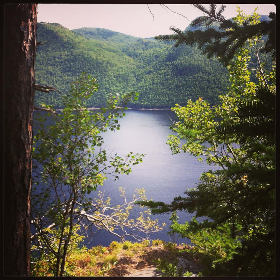 Saguenay_ Fjord_ Summer_ View Wallpaper