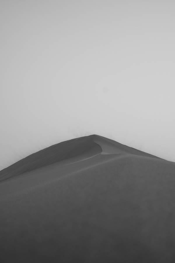 Sahara Landscape In Monochrome Wallpaper