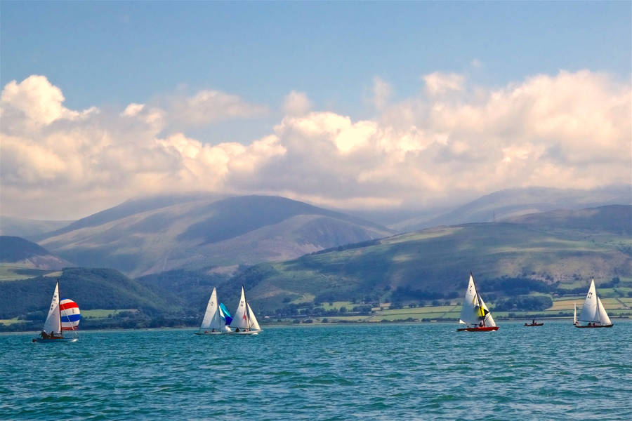 Sailing Regatta Competition Wallpaper