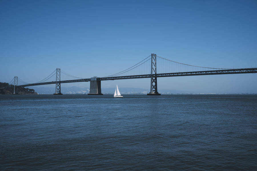Sailing Under Oakland Bay Bridge Wallpaper