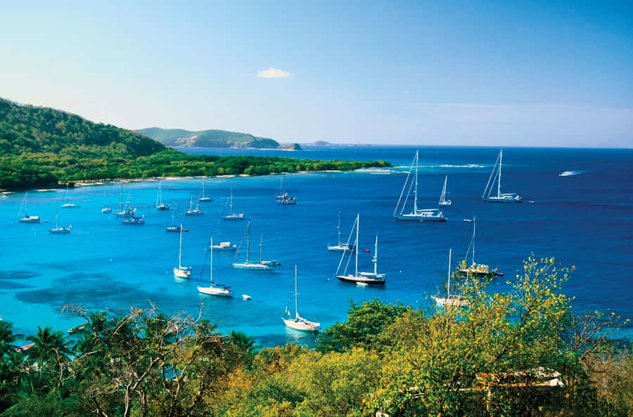 Saint Vincent And The Grenadines Sailing Wallpaper