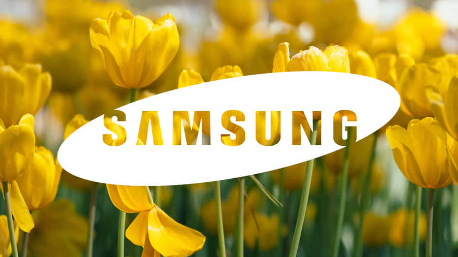 Samsung Tv Logo Design Wallpaper