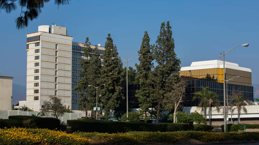 San Bernardino Cityscape Buildings Wallpaper