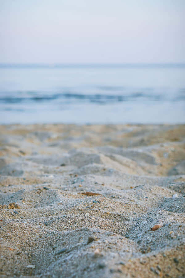 Sand Beach New England Summer Wallpaper