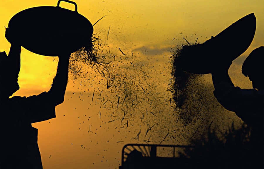 Satisfying The Job Well Done Wallpaper